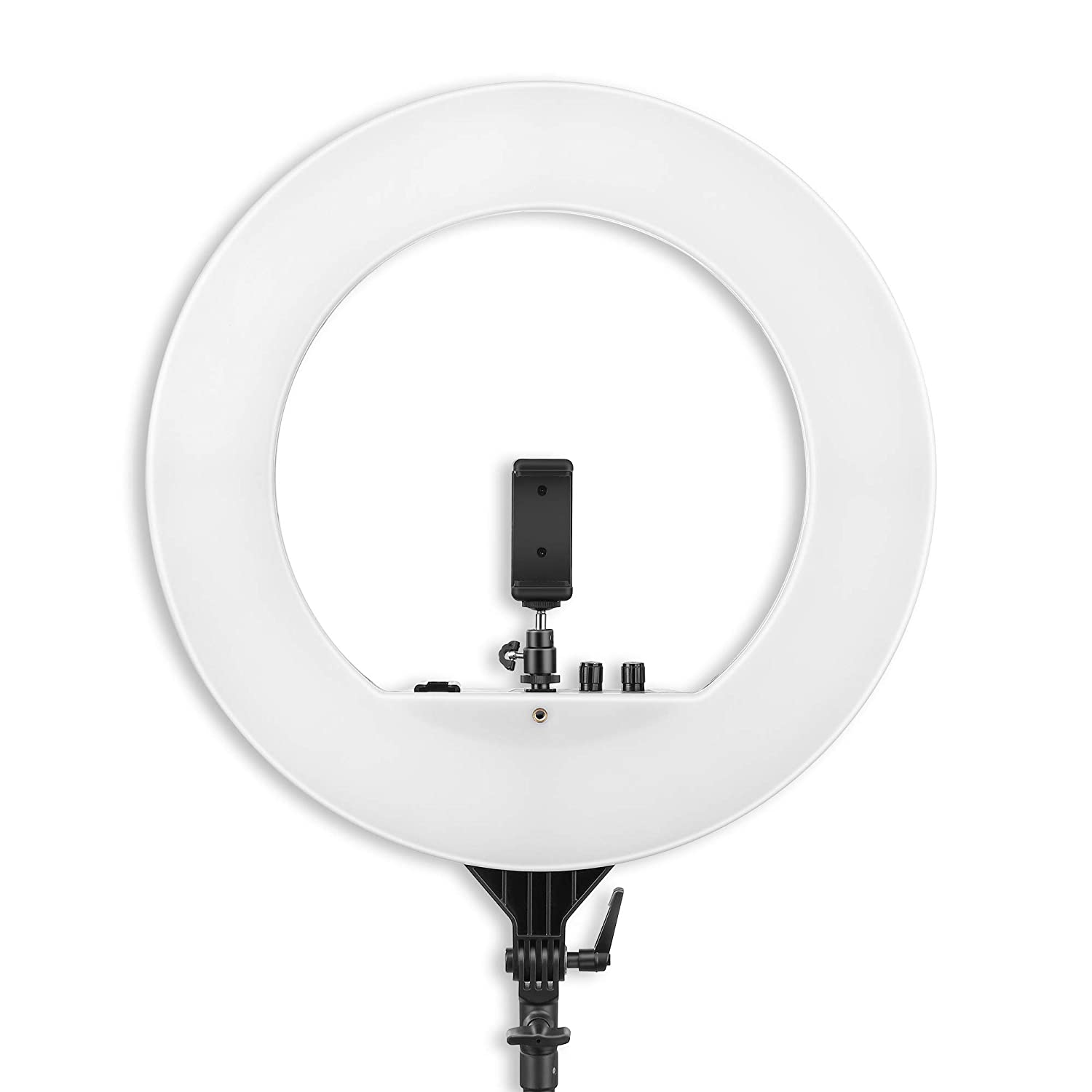 Ring Light with 2 Color Modes Dimmable Lighting